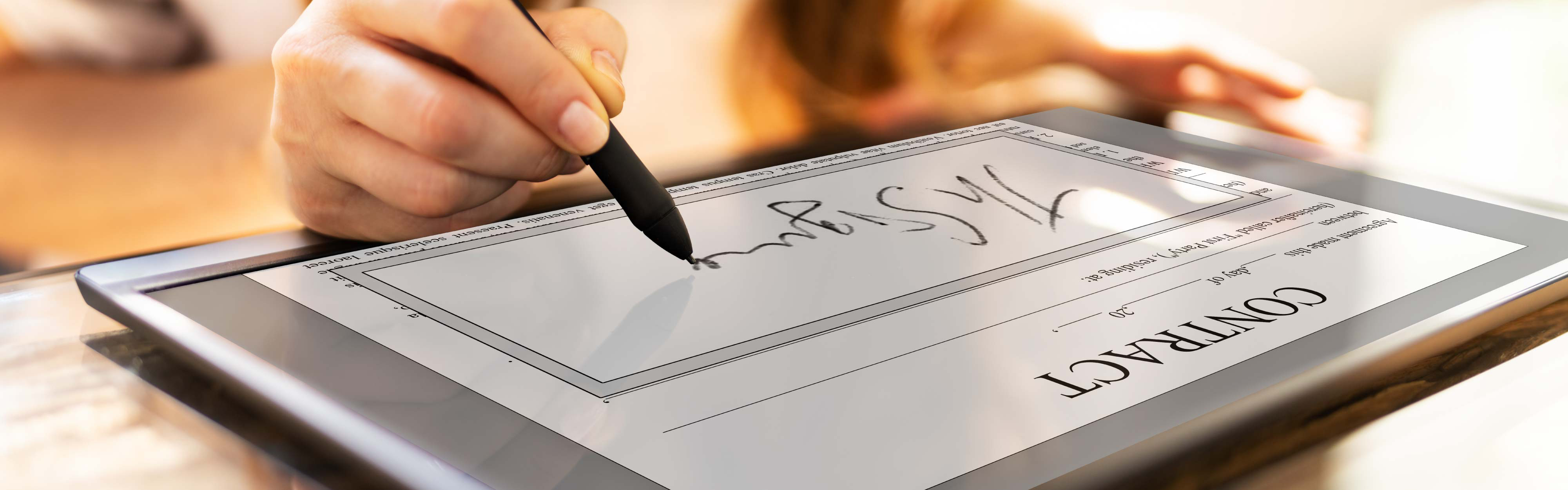 Beyond the Pen: The Art and Science of Efficient Digital Signatures